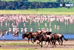 Kenya Tourism Board CEO Dr Betty Addero Radier Talks Domestic Tourism