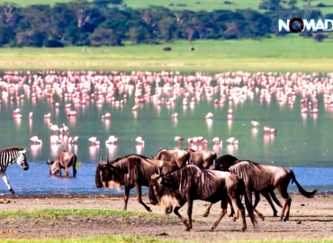 Kenya Tourism Board CEO Dr Betty Addero Radier Talks Domestic Tourism