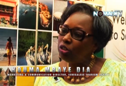 Senegalese Visa Information